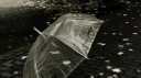 🚬   /Gum™ Discord Server Banner
