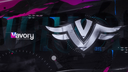 Team Vavory Discord Server Banner