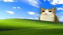 Femboy Order Discord Server Banner
