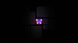 Butterflies Discord Server Banner