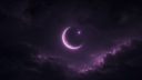 Meigetsu Discord Server Banner