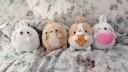 ♡﹒ʚ  molang 🍙 emojis , social , giveaways , active Discord Server Banner