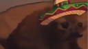Oh No Cringe Discord Server Banner