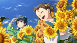 ✿ Kyoto Code Discord Server Banner