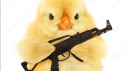 荒らし連合軍│AARR 🐥🚩 Discord Server Banner