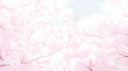 friends Discord Server Banner