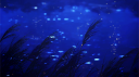 xᴜᴍᴀʀɪ ᴍᴏᴅᴢ ™ Discord Server Banner