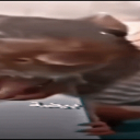 CR Discord Server Banner