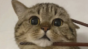 Under Long Term Maintenance Discord Server Banner