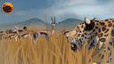 Wild Savanna Official Server Discord Server Banner