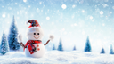 WinterOS Discord Server Banner