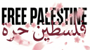 Muslim Study Stream Discord Server Banner