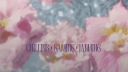 🥂🧿 Heeriye Discord Server Banner