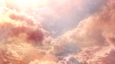 ✿.｡. Discord Server Banner