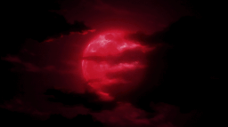 🏹 Discord Server Banner