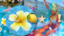 🍎 Discord Server Banner
