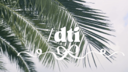 ⋆᠀𓏲˚ dti ribbons Discord Server Banner