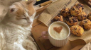 Miau Cafe 🐈 Discord Server Banner