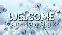 ⊹ ࣪ 🏘˖˚ᴀᴍᴇʀɪᴄᴀɴ ᴄɪᴛʏ ʀᴘ⋆˚ᰔ。⋆ Discord Server Banner