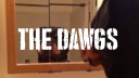 the DAWGS Discord Server Banner