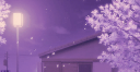 AniVerse™ Discord Server Banner