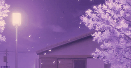 AniVerse™ Discord Server Banner