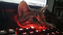 ⚡┃𝖆𝖒𝖔𝖚𝖗 𝖕𝖗𝖊𝖘𝖙𝖎𝖌𝖊 Discord Server Banner