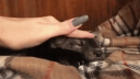 Floof City Discord Server Banner