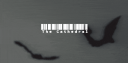 𝔗𝔥𝔢 ℭ𝔞𝔱𝔥𝔢𝔡𝔯𝔞𝔩🔺 Discord Server Banner