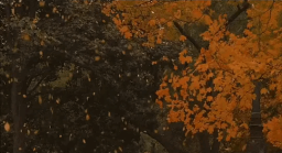 Void Quartz Paradise™ {Fall Season 🍁🍂} Discord Server Banner