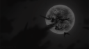 Vampiric Quartz Paradise™ {Fall Season 🍁🍂} Discord Server Banner