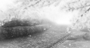 /uzhi Discord Server Banner