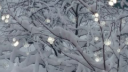 𝜗ৎ ﹒ /frozen feeling >⩊< / social Discord Server Banner