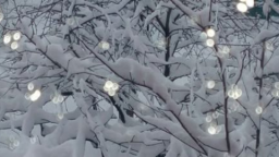 𝜗ৎ ﹒ /frozen feeling >⩊< / social Discord Server Banner