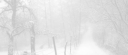 Angels / tags Discord Server Banner