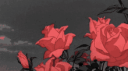 ✗  Knight The Revolutionary (DEAD) Discord Server Banner