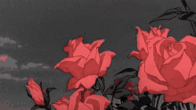 ✗ Knight The Revolutionary (DEAD) Discord Server Banner