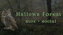 Hallows Forest 🌿 Discord Server Banner