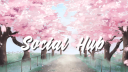 Social Hub ˖༺ Discord Server Banner