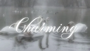 charming  ꫂ᭪ ･ nitro ･ giveaways ･ social ･ emotes ･ gaming ･ anime ･ active ･ icons Discord Server Banner