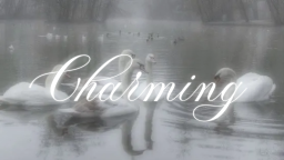 charming ꫂ᭪ ・ nitro ・ giveaways ・ social ・ emotes ・ gaming ・ anime ・ active ・ icons Discord Server Banner