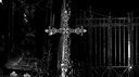 xyra ♱ guild Discord Server Banner