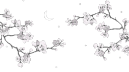 ݁ ༷ ⏾ ˖ Discord Server Banner