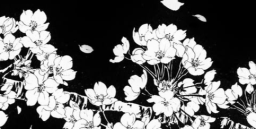 Nicoβs Shack Discord Server Banner