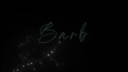 Barb™ Discord Server Banner
