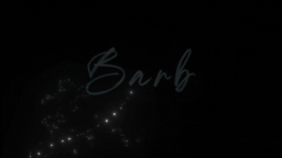 Barb™ Discord Server Banner