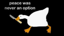 Goose Supremacy [ ︻芫═一 ] Discord Server Banner