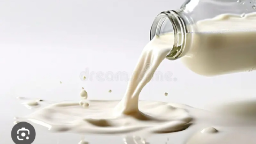 The Milk Cult 🥛 21+ Discord Server Banner