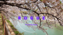 The Rogue Syndicate Discord Server Banner