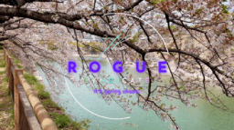 The Rogue Syndicate Discord Server Banner